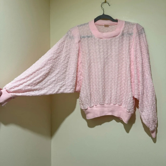 Women’s Vintage Retro Coquette  Singe Stitch Pink Eyelet Long Sleeve Sheer Top - Picture 4 of 14